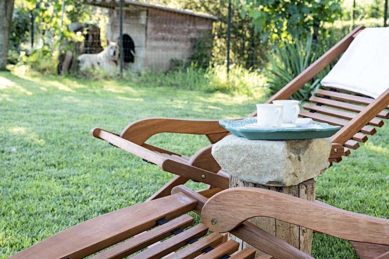 Villa Curte Nicia Nizza Monferrato Ngoại thất bức ảnh